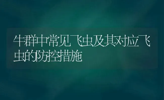 牛群中常见飞虫及其对应飞虫的防控措施 | 养殖技术大全