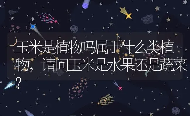 满天星适合什么季节种,满天星什么时候种植？ | 养殖科普