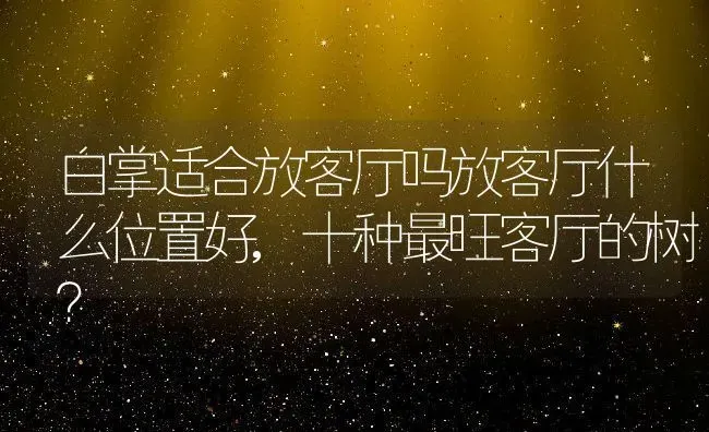 白掌适合放客厅吗放客厅什么位置好,十种最旺客厅的树？ | 养殖科普