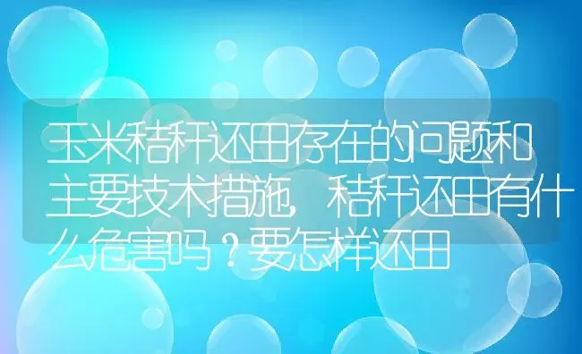 玉米秸秆还田存在的问题和主要技术措施,秸秆还田有什么危害吗？要怎样还田 | 养殖学堂