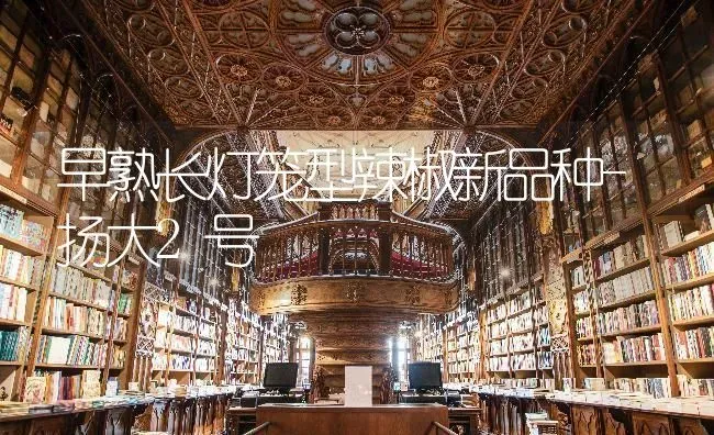 早熟长灯笼型辣椒新品种-扬大2号 | 养殖知识