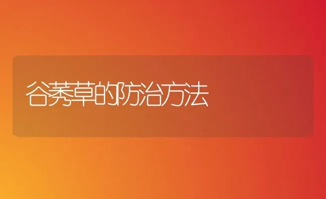 谷莠草的防治方法 | 养殖知识