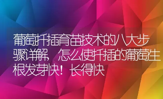 葡萄扦插育苗技术的八大步骤详解,怎么使扦插的葡萄生根发芽快！长得快 | 养殖学堂