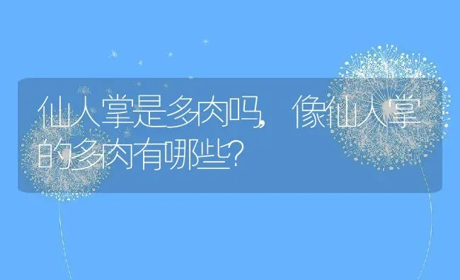 仙人掌是多肉吗,像仙人掌的多肉有哪些？ | 养殖科普