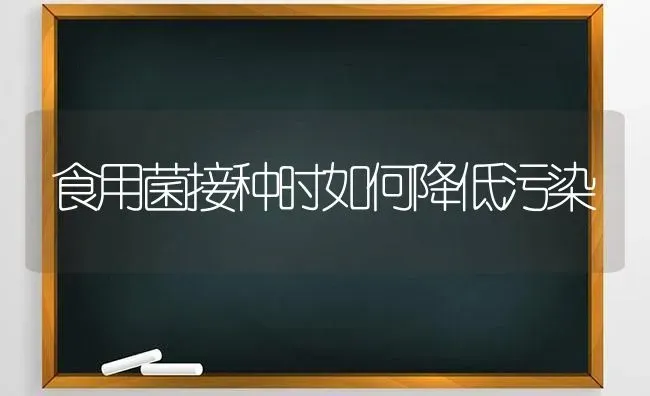 食用菌接种时如何降低污染 | 养殖技术大全