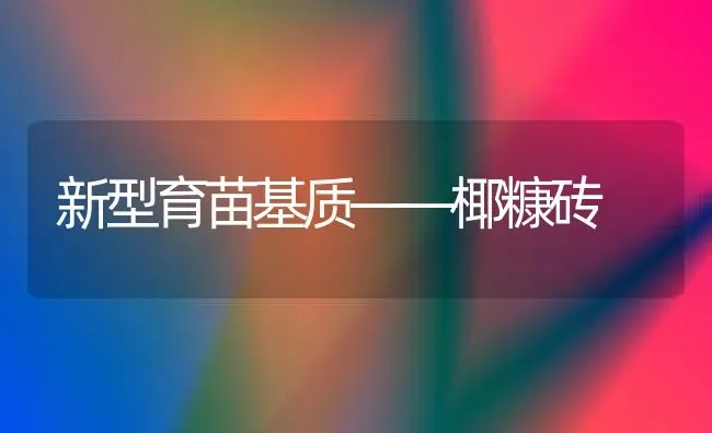 新型育苗基质——椰糠砖 | 养殖知识