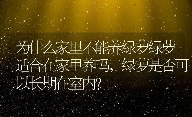 为什么家里不能养绿萝绿萝适合在家里养吗,绿萝是否可以长期在室内？ | 养殖科普