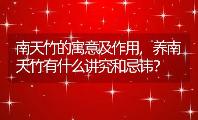 南天竹的寓意及作用,养南天竹有什么讲究和忌讳？ | 养殖科普