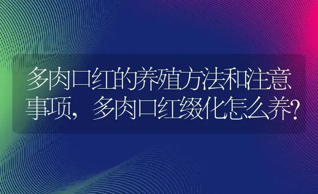 多肉口红的养殖方法和注意事项,多肉口红缀化怎么养？ | 养殖科普