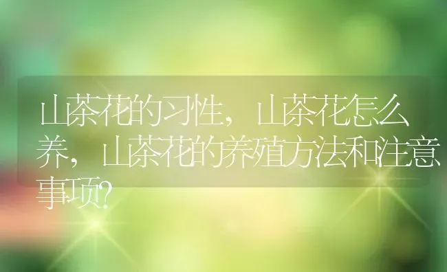 山茶花的习性,山茶花怎么养,山茶花的养殖方法和注意事项？ | 养殖科普