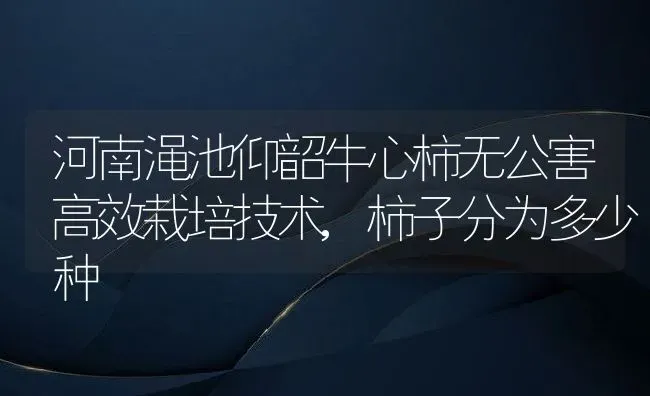 河南渑池仰韶牛心柿无公害高效栽培技术,柿子分为多少种 | 养殖学堂