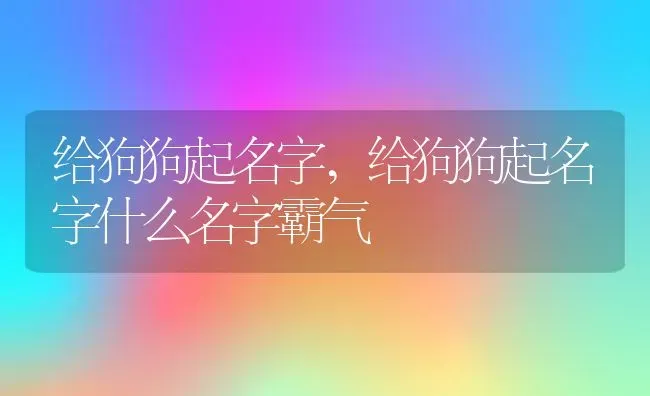 给狗狗起名字,给狗狗起名字什么名字霸气 | 养殖资料