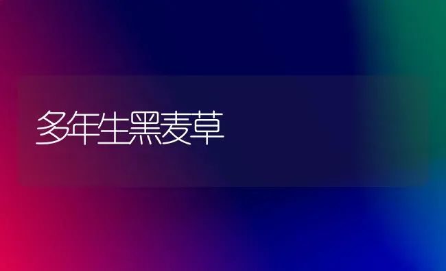 多年生黑麦草 | 养殖技术大全