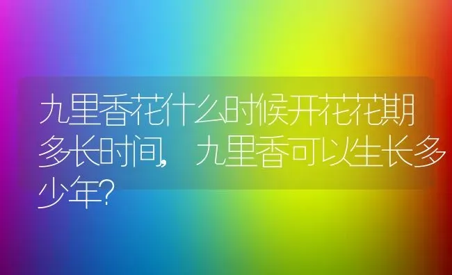 九里香花什么时候开花花期多长时间,九里香可以生长多少年？ | 养殖科普