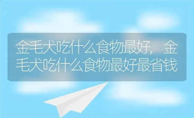 金毛犬吃什么食物最好,金毛犬吃什么食物最好最省钱 | 养殖资料