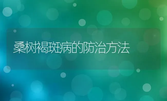 桑树褐斑病的防治方法 | 养殖知识