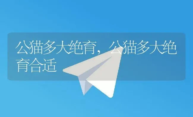 公猫多大绝育,公猫多大绝育合适 | 养殖科普