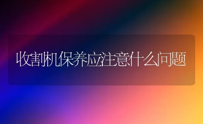 收割机保养应注意什么问题 | 养殖知识