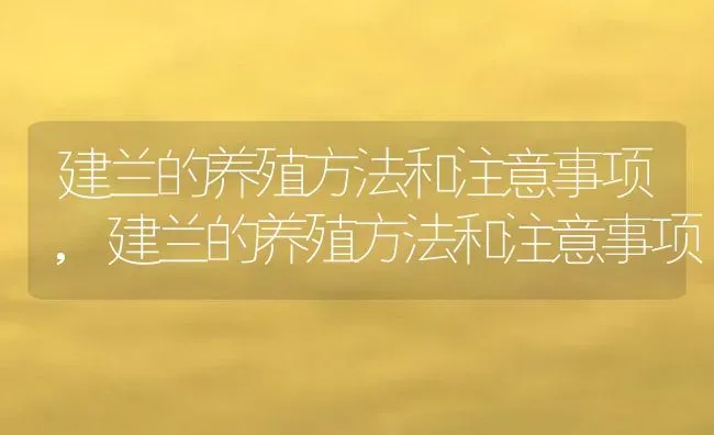 建兰的养殖方法和注意事项,建兰的养殖方法和注意事项 | 养殖科普