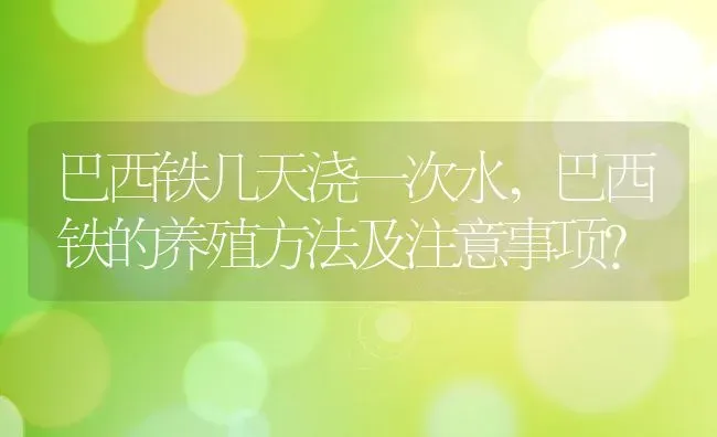 巴西铁几天浇一次水,巴西铁的养殖方法及注意事项？ | 养殖科普