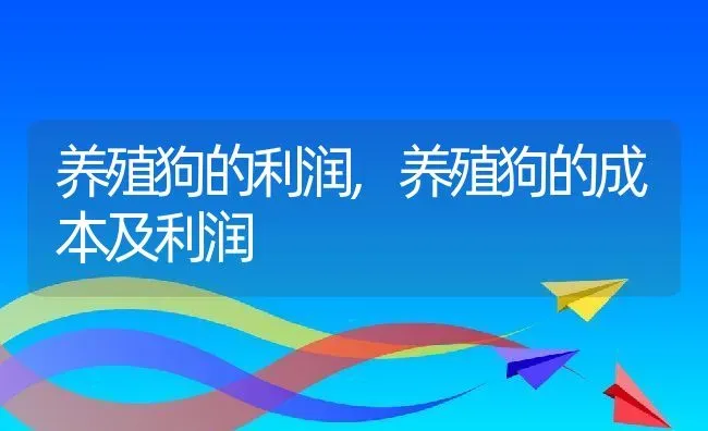 养殖狗的利润,养殖狗的成本及利润 | 养殖科普