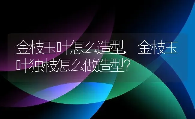 金枝玉叶怎么造型,金枝玉叶独枝怎么做造型？ | 养殖科普