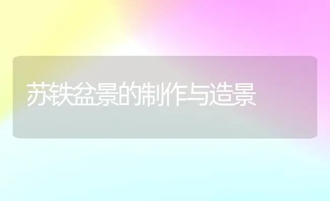 苏铁盆景的制作与造景 | 养殖技术大全