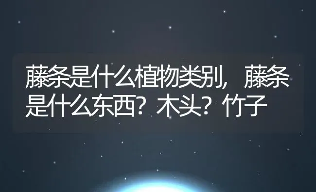 藤条是什么植物类别,藤条是什么东西？木头？竹子 | 养殖学堂