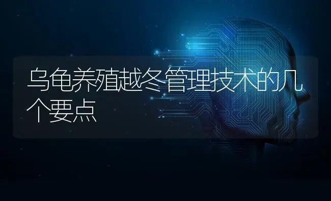 乌龟养殖越冬管理技术的几个要点 | 养殖知识