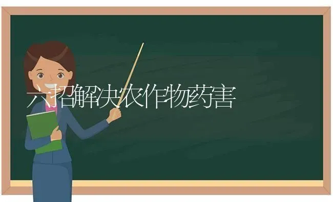 六招解决农作物药害 | 养殖技术大全