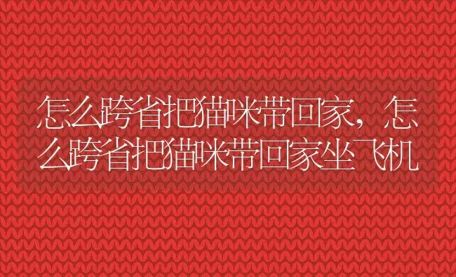 怎么跨省把猫咪带回家,怎么跨省把猫咪带回家坐飞机 | 养殖科普