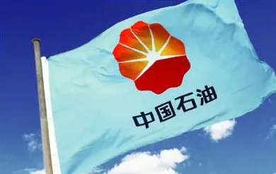 宝石花属于中石油吗,中国石油中国石化加油站划分？