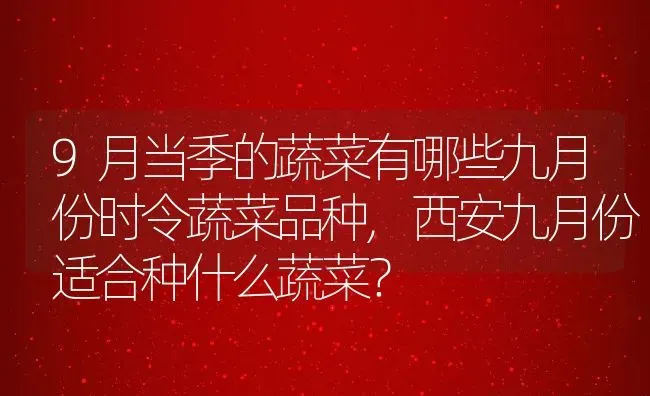 9月当季的蔬菜有哪些九月份时令蔬菜品种,西安九月份适合种什么蔬菜？ | 养殖科普