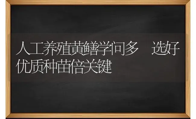 人工养殖黄鳝学问多 选好优质种苗倍关键 | 养殖知识