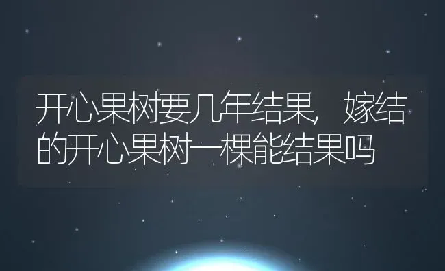 开心果树要几年结果,嫁结的开心果树一棵能结果吗 | 养殖学堂