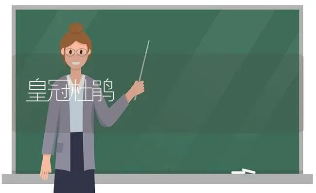 皇冠杜鹃 | 养殖技术大全