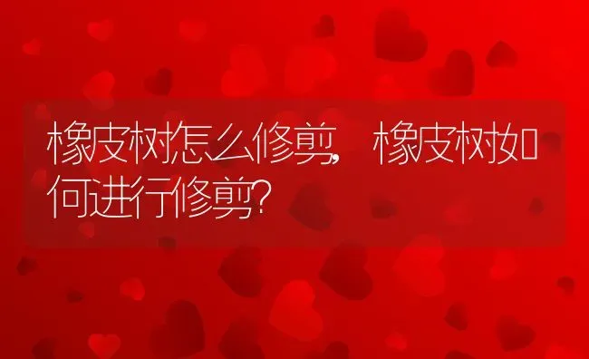 橡皮树怎么修剪,橡皮树如何进行修剪？ | 养殖科普