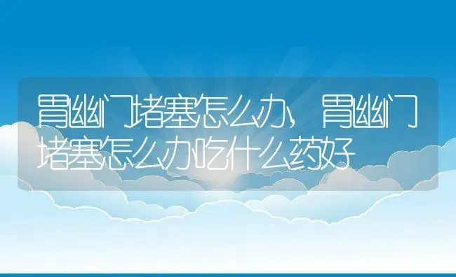 胃幽门堵塞怎么办,胃幽门堵塞怎么办吃什么药好 | 养殖资料