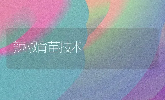 辣椒育苗技术 | 养殖知识