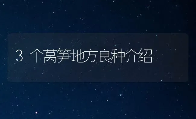 3个莴笋地方良种介绍 | 养殖技术大全
