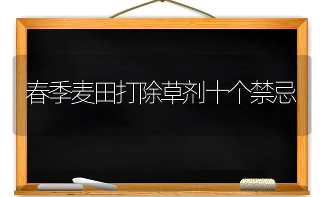 春季麦田打除草剂十个禁忌 | 养殖技术大全