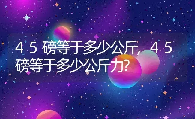 45磅等于多少公斤,45磅等于多少公斤力? | 养殖资料