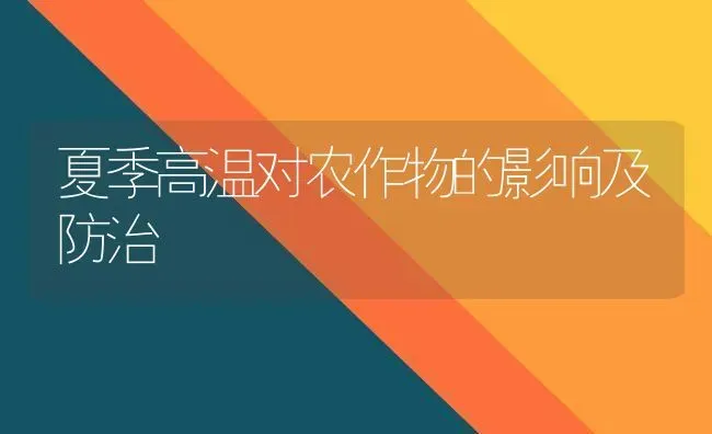 夏季高温对农作物的影响及防治 | 养殖技术大全