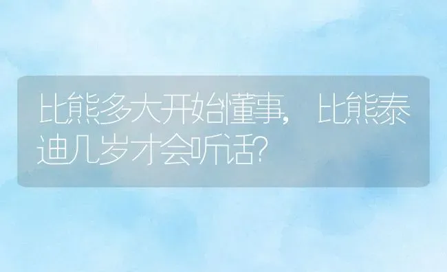比熊多大开始懂事,比熊泰迪几岁才会听话？ | 养殖学堂