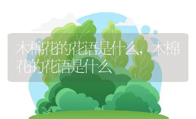 木棉花的花语是什么,木棉花的花语是什么 | 养殖科普