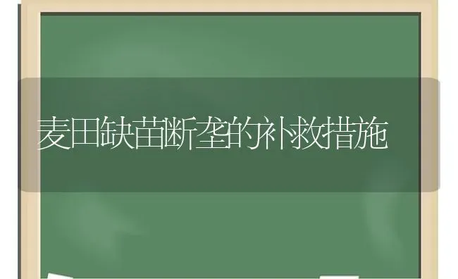 麦田缺苗断垄的补救措施 | 养殖知识