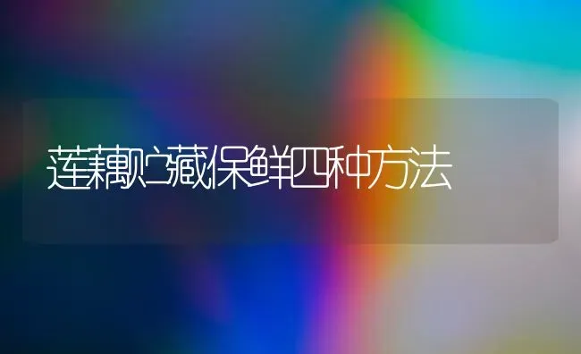 莲藕贮藏保鲜四种方法 | 养殖技术大全