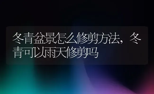 冬青盆景怎么修剪方法,冬青可以雨天修剪吗 | 养殖学堂