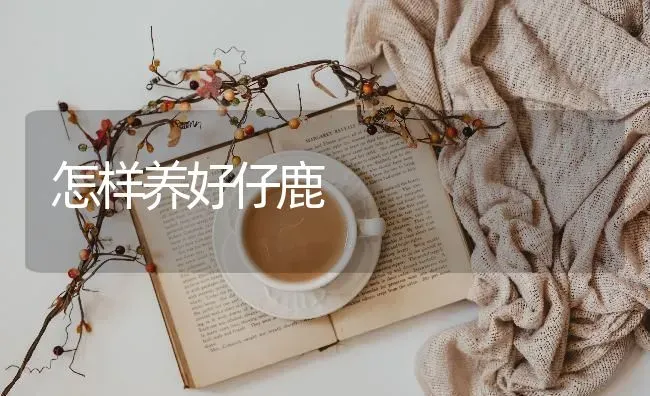 怎样养好仔鹿 | 养殖技术大全
