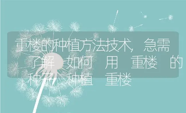 重楼的种植方法技术,急需 了解 如何 用 重楼 的 种子 种植 重楼 | 养殖学堂